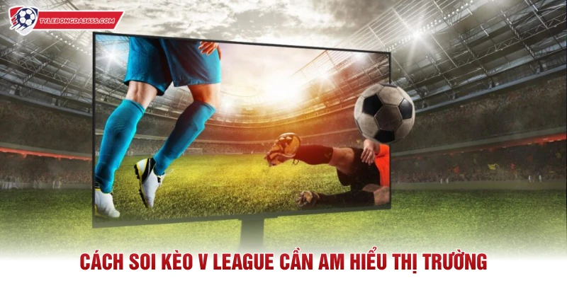 Cách soi kèo V League cần am hiểu thị trường