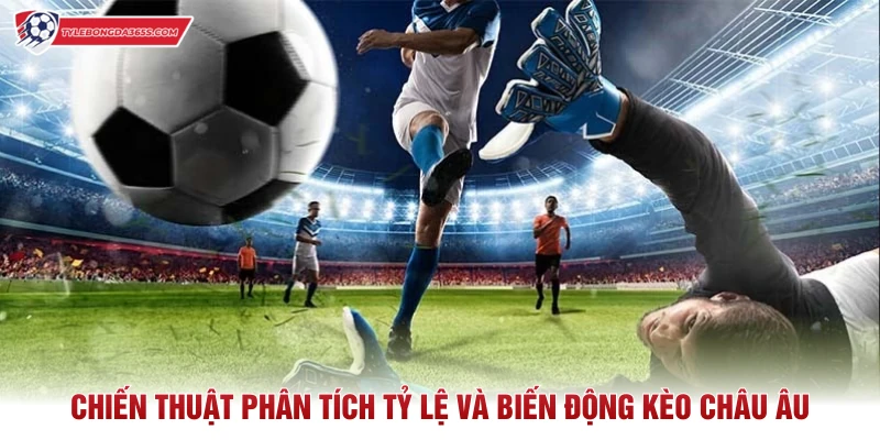 Chiến thuật phân tích tỷ lệ và biến động kèo châu Âu