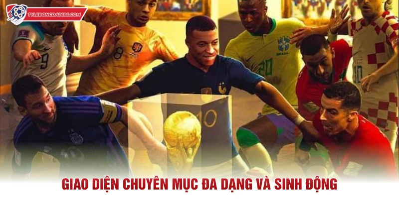 Giao diện chuyên mục đa dạng và sinh động